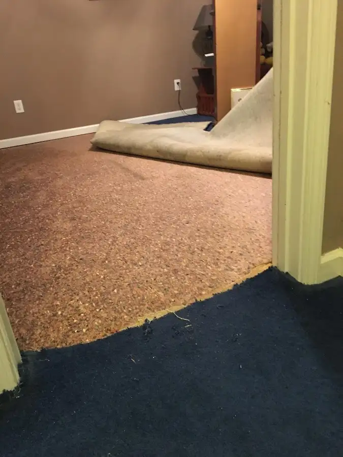 Carpet pad removal revealing water damage during Drying & Dehumidification in Orono